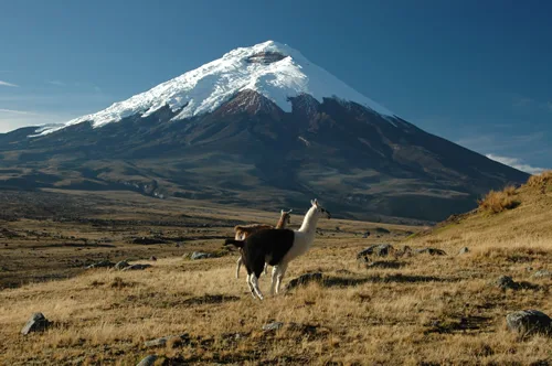Vulcan Cotopaxi: "The Beast of the Andes"