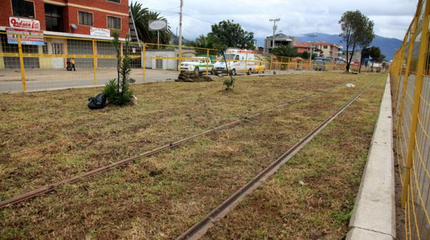 Sod has been installed on one section of tram tracks on Av. Las Americas.