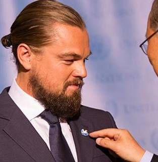 Government does not appreciate DiCaprio’s $3.4 million gift to protect Ecuador’s rain forest