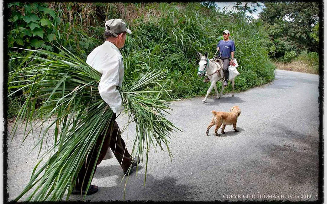 Straight from the heart