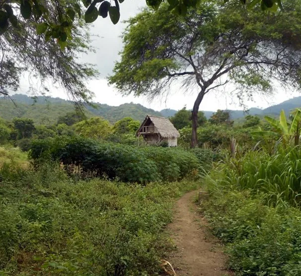 New corruption trial, Flu alert, Paris museum director gives presentation, Ecuador is the most biologically diverse country, Diesel fuel quality improves