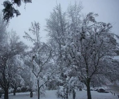 Heavy snowfall leaves much of Chile in the dark