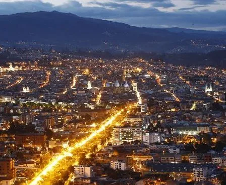 Humpback whale is freed, San Francisco Plaza vendors want help, Hotel owners push housing ordinace