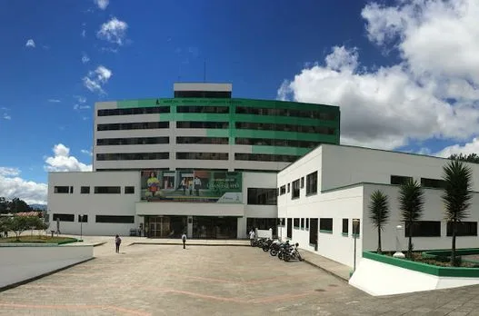 Tourist crafts and food fair, Film series, Two women one song, Cypress tree gets reprieve, Whipple surgery