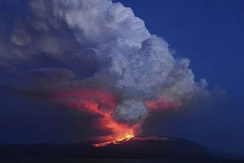 Bridge reconstruction, Craft beer brewer, First reconstructive surgery, Experts study volcano