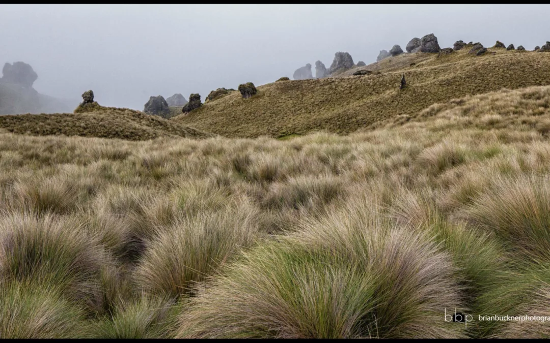 Tambo Siberia: Lost in the cold mists of time