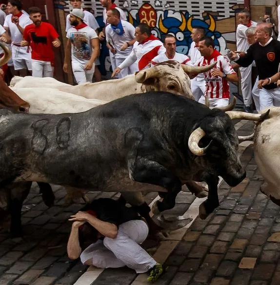 Traffic checks, Running the bulls in Plamplonada, Friday’s a holiday, Dog poop violations, Cajas hikes