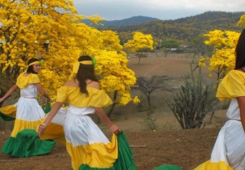 First ‘transboundary’ reserve in South America protects an endangered ecosystem and promotes peace between Ecuador and Peru