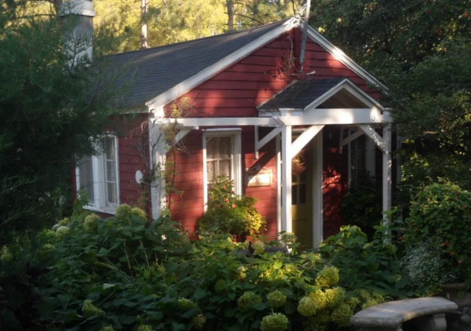 Conscious living: 53 steps