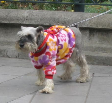 Seven years of surprises in Cuenca: Part 2