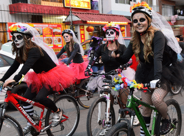 U.S. trade preferences approved, International airport certification, Healing food, Traveling artisans