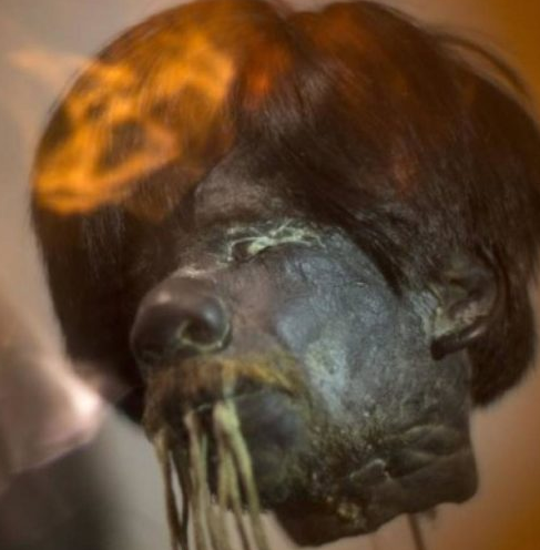 Vatican returns shrunken head, Mandarin courses, Transporting pets, Sculptures in bread