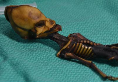 Mystery of ‘alien’ skeleton found in Chile solved