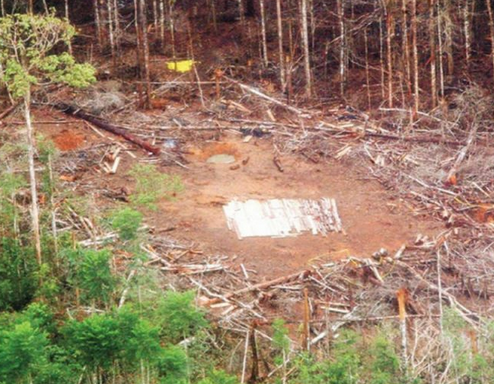 Ecuador may seek international arrest warrant for Colombian military commander