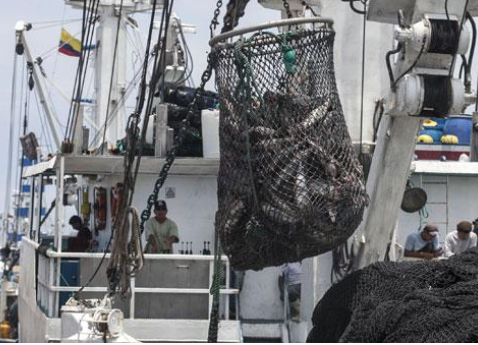 Ecuador’s tuna fleet is world’s second largest but aging ships need to be replaced