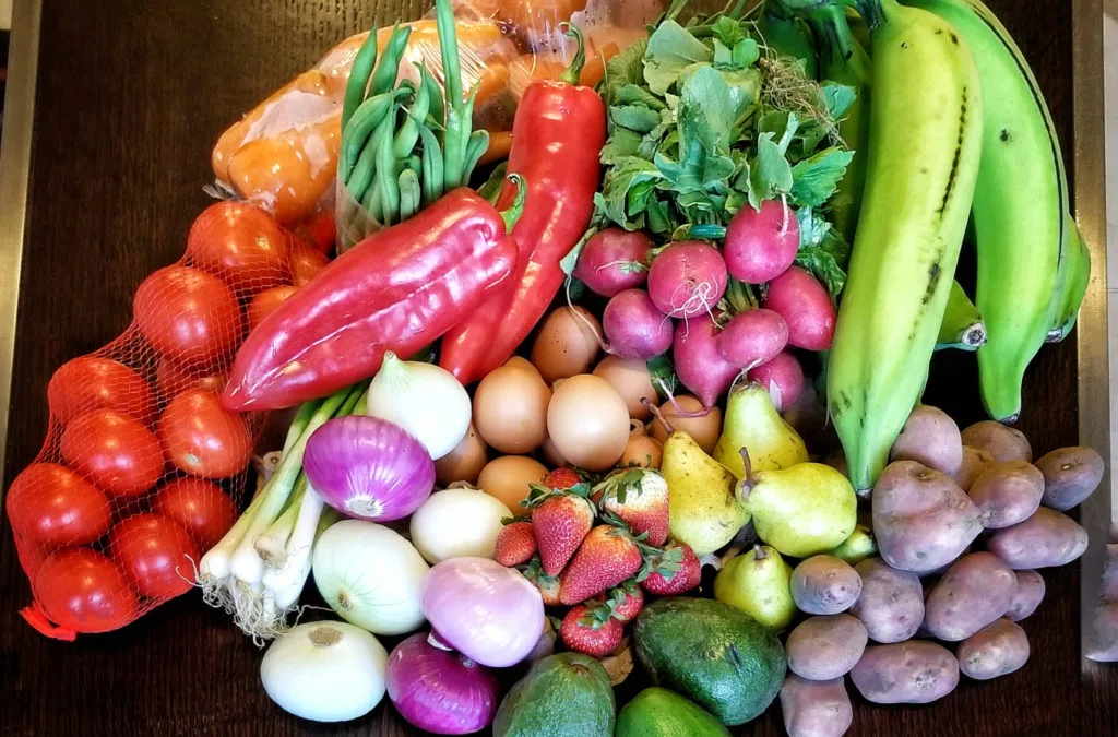 October is Vegetarian Awareness Month: It’s so easy to go green in Ecuador!