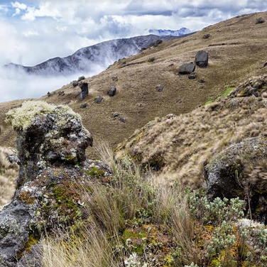 Dominos of the mists