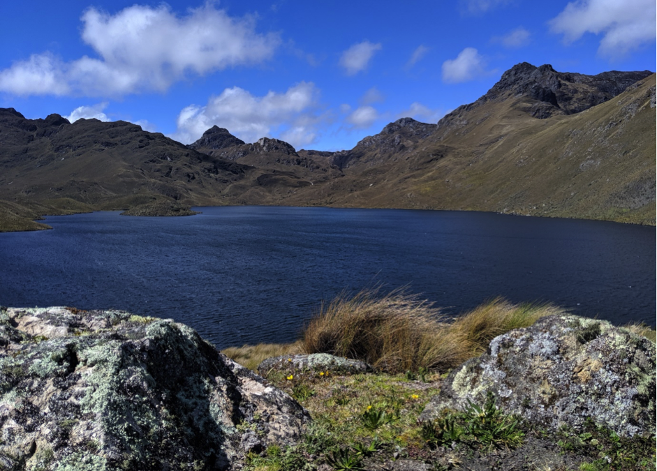 Rash of car robberies; Terminal terrestre remains unfinished; IESS unemployment benefits; Environmental threat to the Cajas Mountains