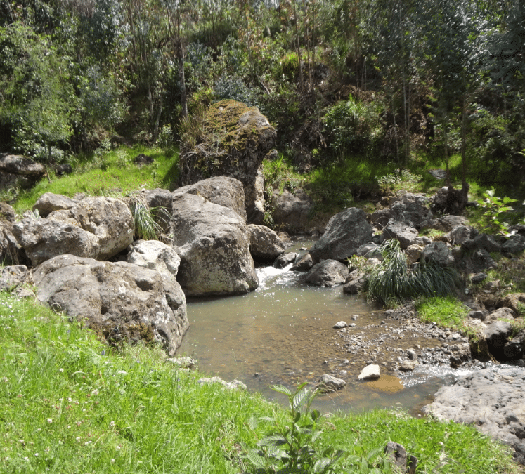 Oasis Ecoresort, ‘near Cuenca but in another world,’ hosts New Year’s Eve wine tasting dinner