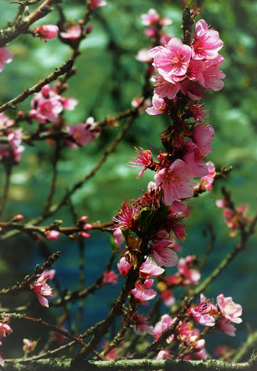 Blinding light, thundering rain and cool mountain evenings   