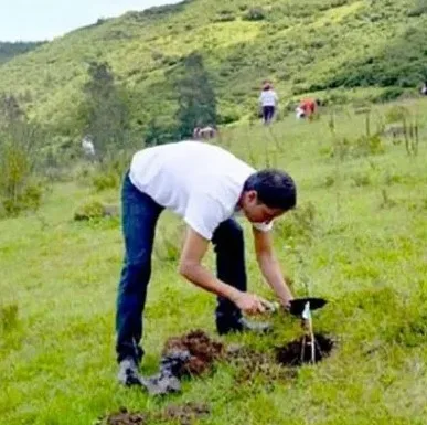 More than 4,000 hectares of native Amazonian forests are restored in eastern Ecuador