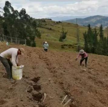 Drought, weather extremes take toll on farmers; Wildfires spread; Hottest day on record; New election in parish where voters said ‘none of the above’