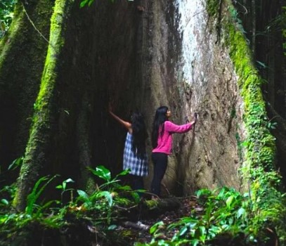 How the ‘Living Forest’ concept makes the Sarayakus the guardians of life in the Ecuadorian Amazon