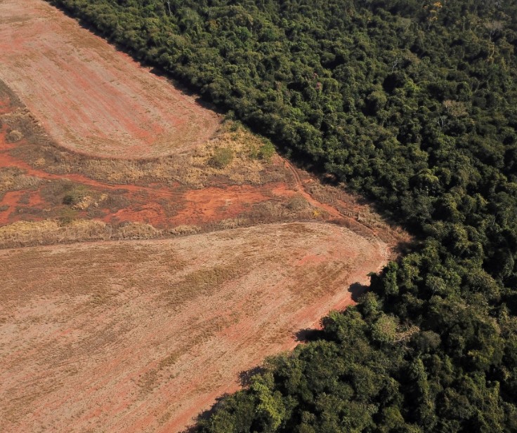 Carbon sinks collapsed in 2023, a stark warning of climate changes to come, scientists say