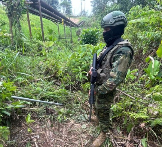 Former army intelligence chief questions Noboa’s claim of 2,000 hectares of coca crops