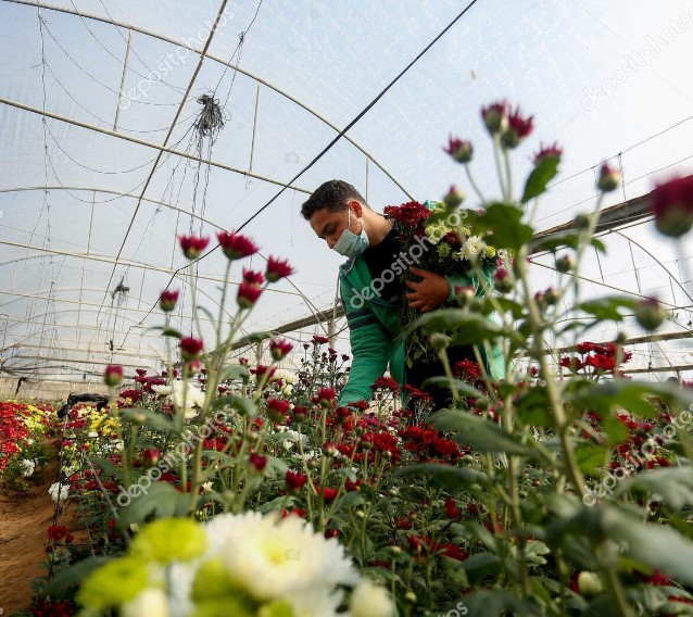 Cuenca-Girón-Pasaje hwy. reopens Monday; Bus robbers sentenced; Data collected for new Cuenca airport; Flower growers aim to double exports