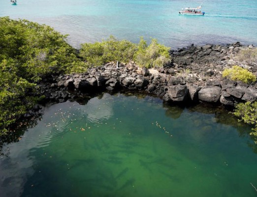 Ecuador’s Galapagos debt-for-nature swap is part of Development Bank’s master plan