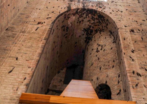 Candidates claim Noboa violates election law; Mazar reservoir returns to normal; Invasion of giant moths; Tourists see Cuenca as a safe holiday destination