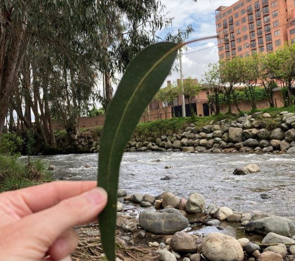 ‘Are you gonna go my way?’; San Pedro trip, day 2