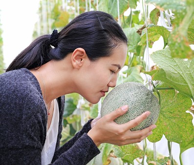 Study shows microplastics have a direct route to our brains through our noses