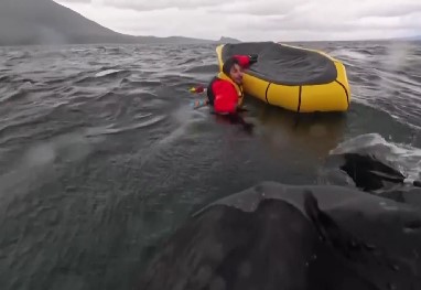 Modern-day Jonah only spent a few seconds in the mouth of the whale before being spit up