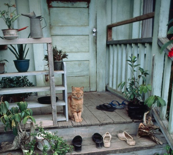 Is a shoe-free home really better? Should you ask guests to go barefoot? Scientists have some answer