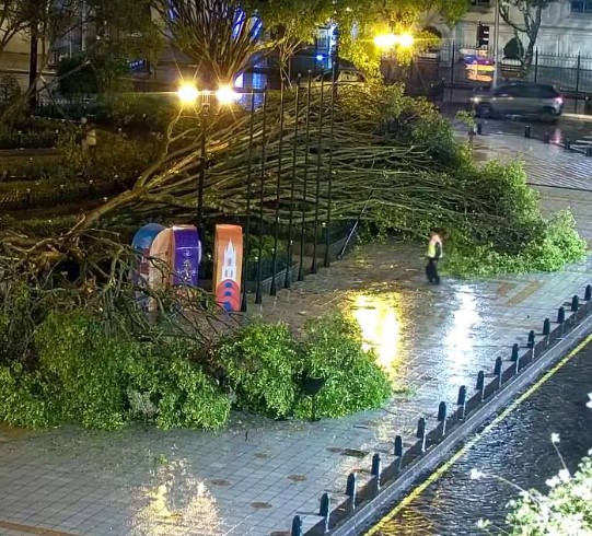 Noboa announces support for migrants; ‘Falling tree emergency’ declared; Election results reported 8:30 Sunday night; Border and ports closed for election