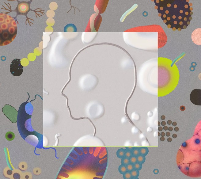 Five years after the pandemic began, we have clearer picture of Covid’s lasting effects on the body