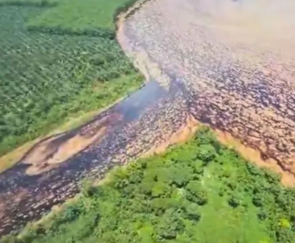 ‘Ecuadollars’ resurface in tv debate; Esmeraldas oil spill gets ‘worse and worse,’ expert says; Movistar and Claro contract negotiations near completion