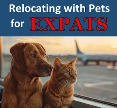 Traveling internationally with pets? Cuenca author’s latest book is the essential guide for expats