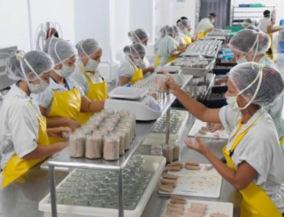 Shrimp exports surge in 2024 and growers expect more growth in 2025 as demand increases