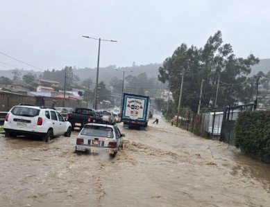 Powerful storm floods city streets and downs trees; Property owner sentenced to prison for destroying historic house; Ecuador drops shrimp tariffs