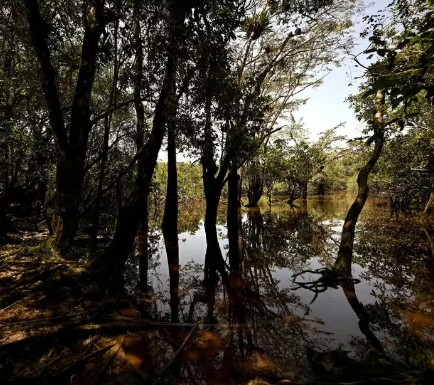 A British man was killed by an indigenous mob in Cuyabeno Wildlife Reserve following fatal shooting