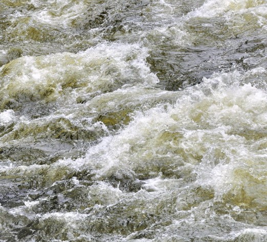 A rumble in the jungle then rain on the Rio Paute