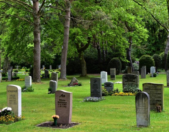 Life-extension merchants promise to ‘upgrade your biology’ — and are making a killing in the process