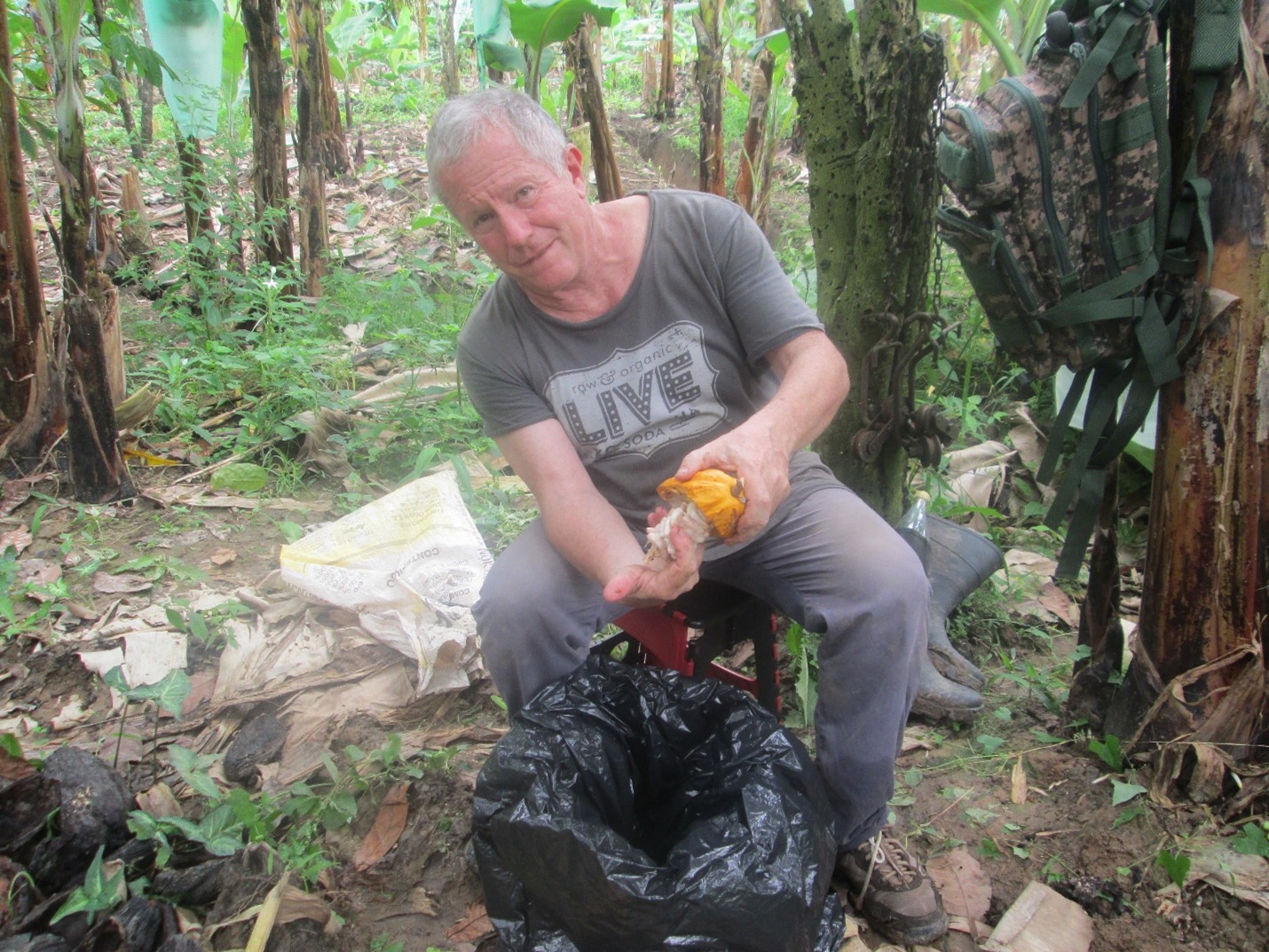 An expat: To be or not to be