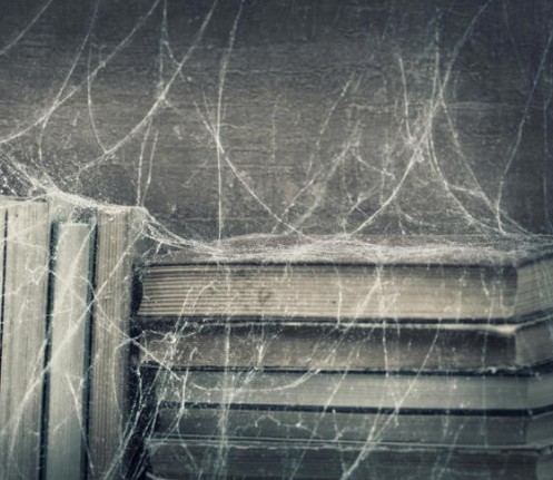 AI is making reading books feel obsolete, and students have a lot to lose