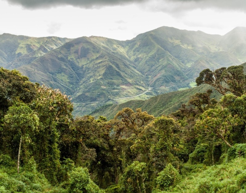 Podocarpus Park is Ecuador’s ‘cloud kingdom’ but suffers from urban encroachment and illegal mining