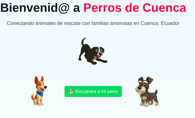 Doggone IT! AI and the dogs of Cuenca