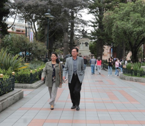 Cell providers promise better service and lower rates; Calderón Park renovation begins in January; Crime wave concerns grow; This street cat is a movie star